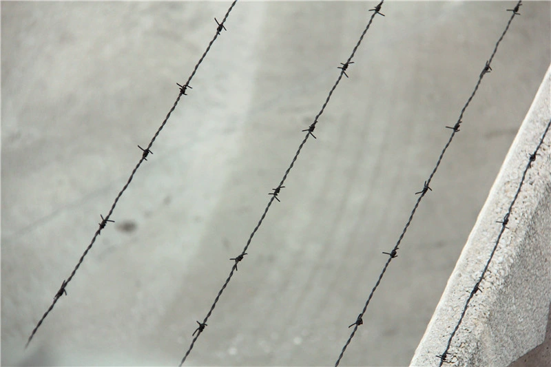 Barbed Wire Right off The Border Wall to Protect Homes