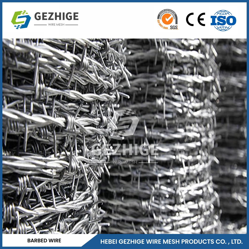 Gezhige Modern Barbed Wire Factory 18mm Bard Width 45 Degree Stand Barbed Wire China 8.8448 Thorn Distance Wall Spike Barbed Wire