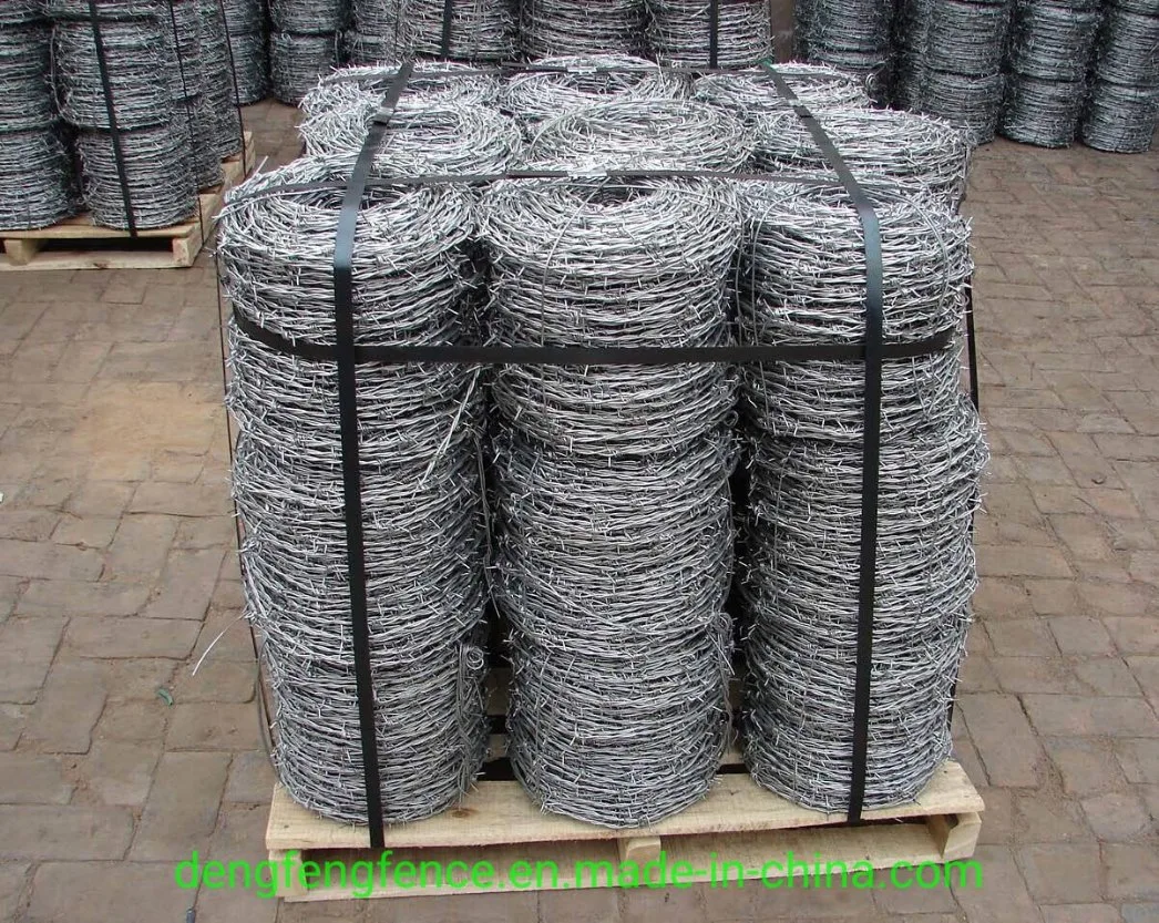 Factory Barbed Wire Hot Dipped Galvanized Barbed Wire for Protecting Wall