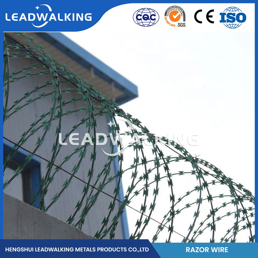 Leadwalking 200m Barbed Wire Wholesaler 50mm Needle Spacing Boundaries Wall Razor Wire China 3mm Diameter Cheap Razor Wire