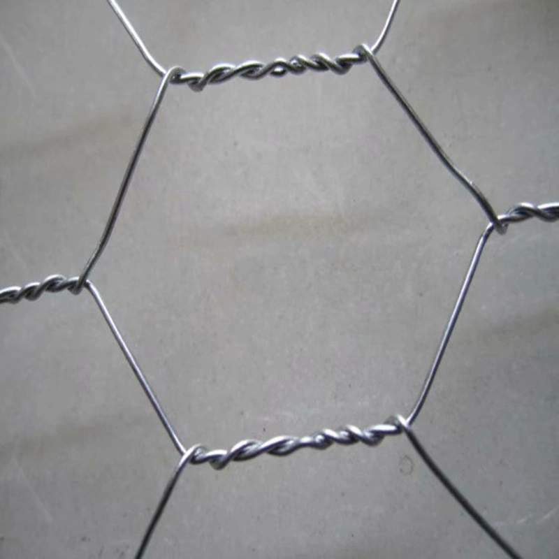 Chicken Wire Mesh with Hexagonal Netting Galvanized Fence Chain Link