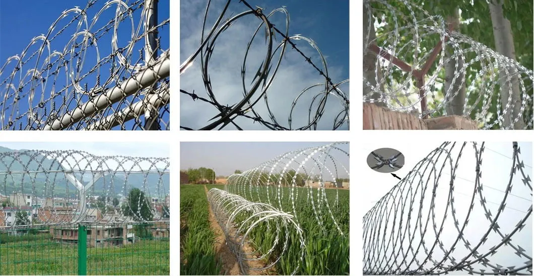 PVC Coated Stainless Steel Galvanized Razor Wire Concertina Razor Wire