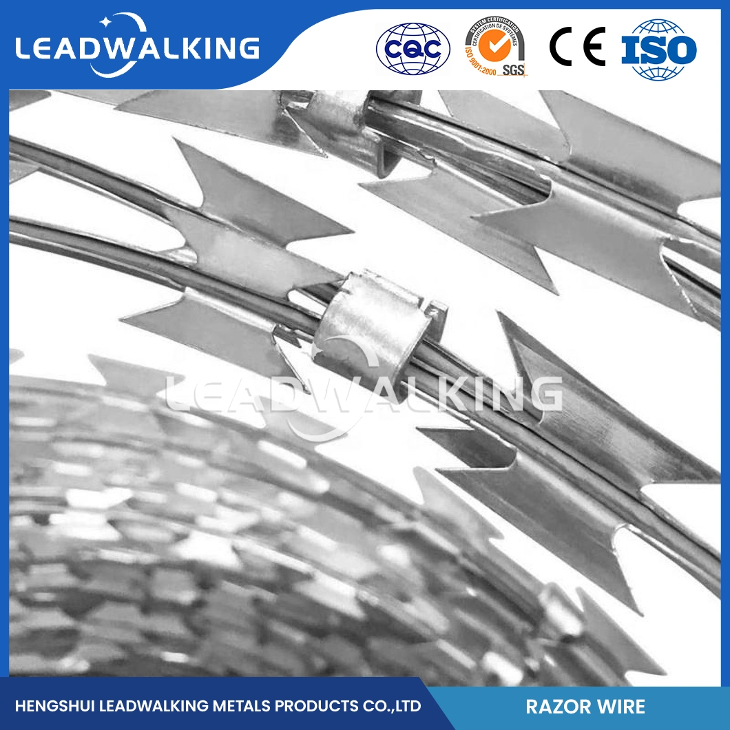 Leadwalking 200m Barbed Wire Wholesaler 50mm Needle Spacing Boundaries Wall Razor Wire China 3mm Diameter Cheap Razor Wire