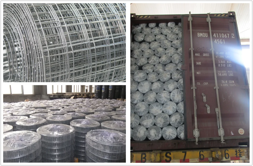 Factory Selling Square Hot-Dipped Galvanized Welded Wire Mesh/Net