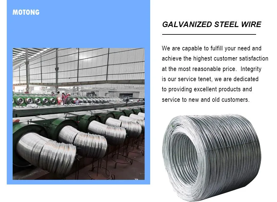 High Carbon Galvanized Spring Steel Wire