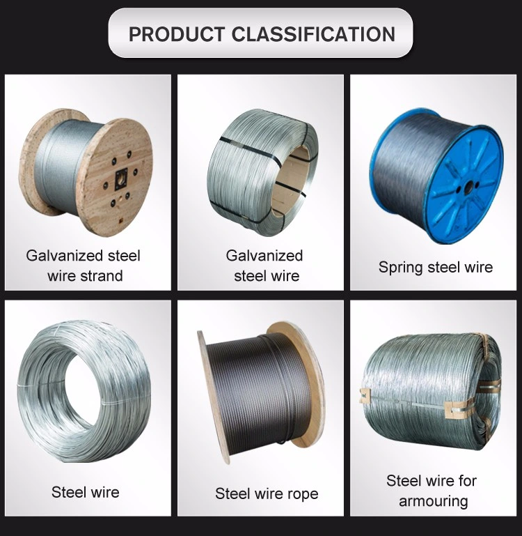 Hot/Electro DIP Galvanized Steel Wire Low Carbon Iron Wire for Mesh Chinese Manufacturer Best Price 0.5-5.0mm