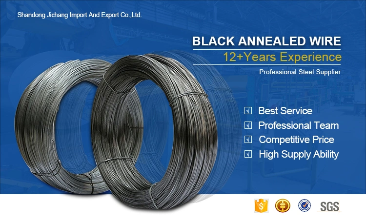 Hot/Electro DIP Galvanized Steel Wire Low Carbon Iron Wire for Mesh Chinese Manufacturer Best Price