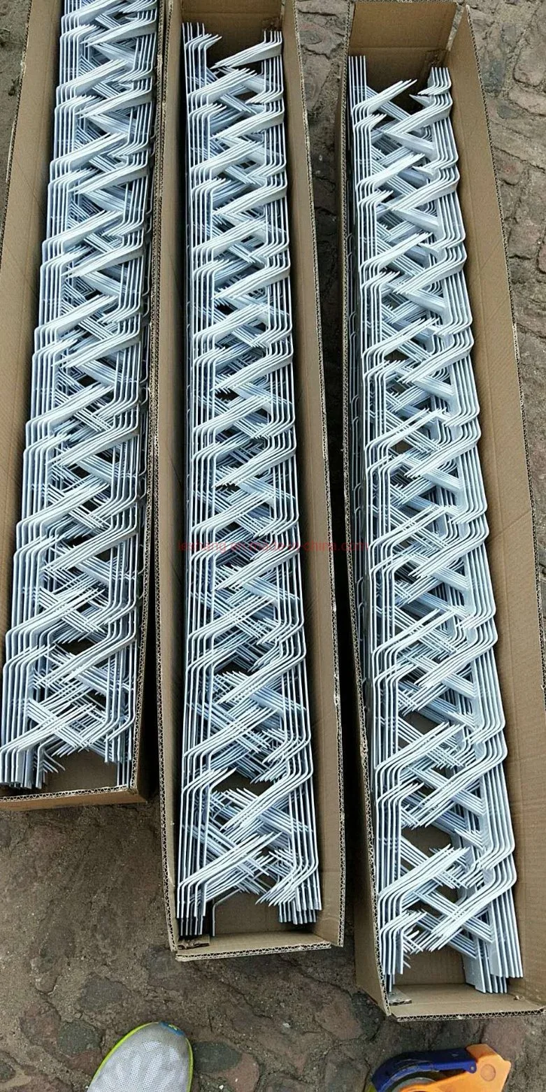 Hot-Dipped Galvanized /Powder Coated Wall Spikes /Razor Wire/Barbed Wire